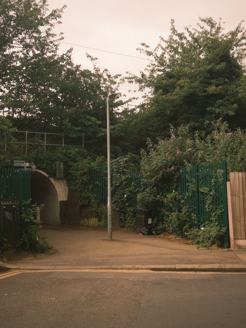 Barnes rubbish collection near Barnes Bridge station
